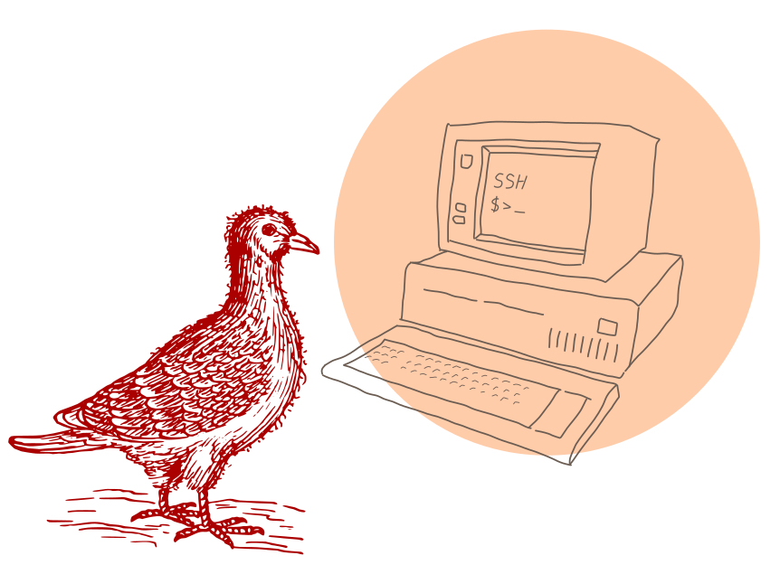 A bird using an SSH terminal