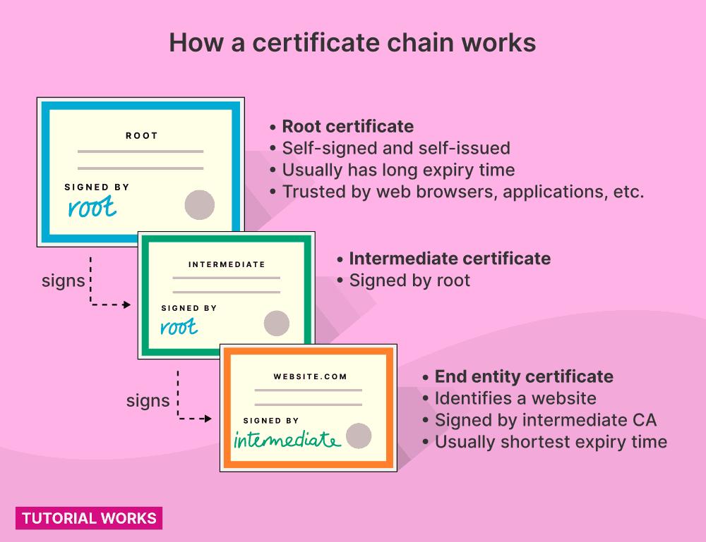 How a certificate chain works